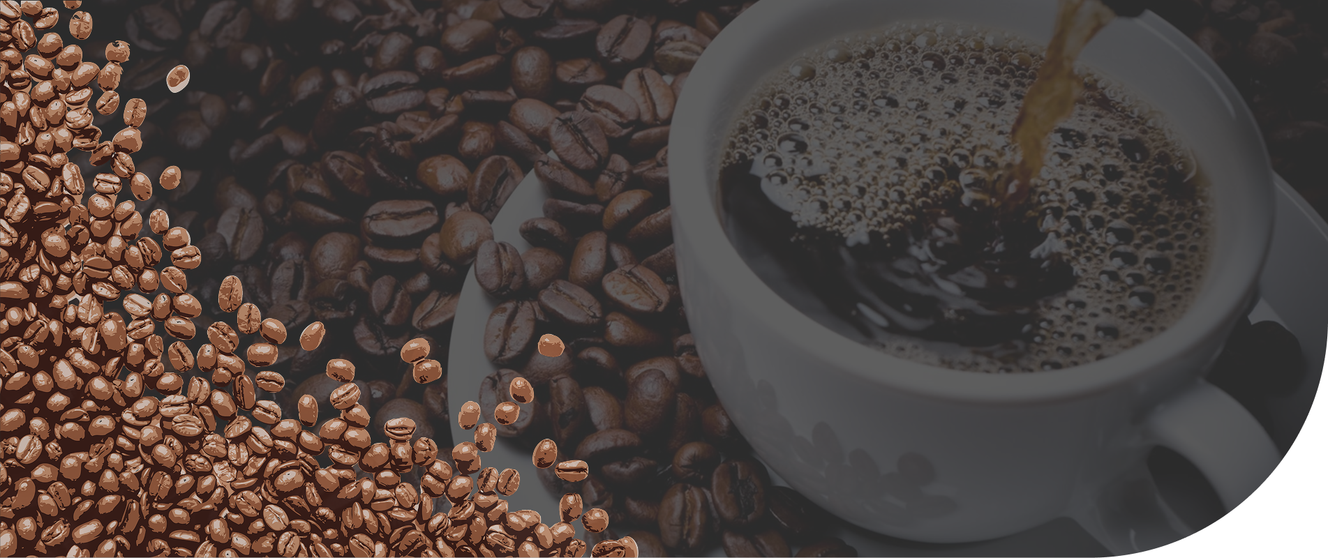Yeraz Coffee Banner
